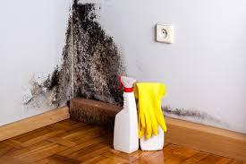 Mold Remediation for Vacation Homes in Clayton, GA